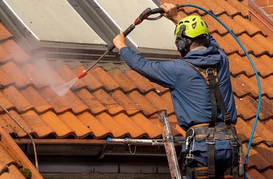Démoussage et hydrofuge de toiture à Évosges